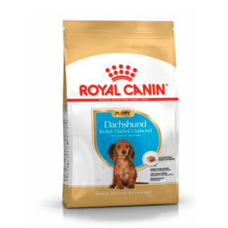 Royal Canin Dachshund Junior Корм для щенков породы Такса до 10 месяцев
