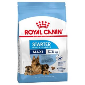 Royal Canin Maxi Starter Корм для щенков до 2-х месяцев беременных и кормящих сук