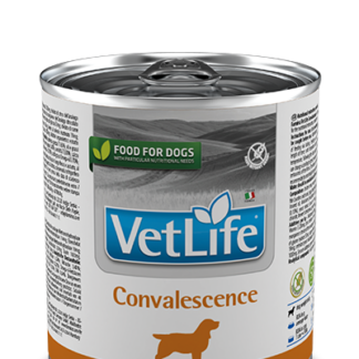 CONVALESCENCE WET FOOD CANINE