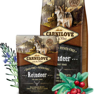Reindeer for adult dogs