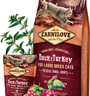 Duck & Turkey FOR LARGE BREED CATS