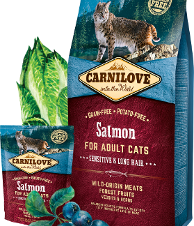 Salmon FOR ADULT CATS WITH SENSITIVE DIGESTION, LONG-HAIRED CATS